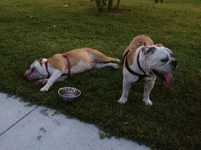 photo-17.webp