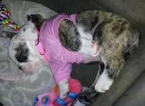 20120322_184059.webp