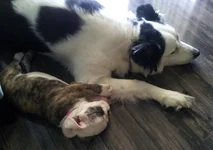 20120325_123721.webp