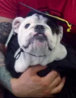 graduation.webp