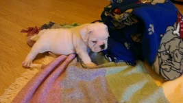 Winston july 26 pic 3.webp