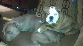 LOVING HIS GIRLFRIEND.webp
