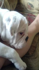 2012-07-26_18-09-08_357.webp