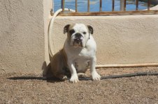 IMG_3210.jpg IMG_3210.jpg