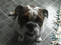 IMG005.webp