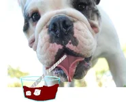 Jack sipping Jack.webp