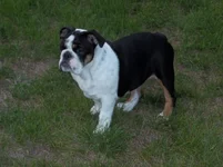 100_0406.webp 100_0406.webp
