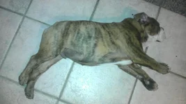FRANKLIN 7-30-12.webp