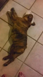 IMAG0305.webp