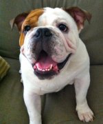IMG_0659.jpg IMG_0659.jpg