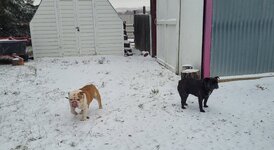 IMG_7388.jpeg