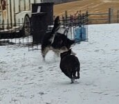 IMG_7386.jpeg
