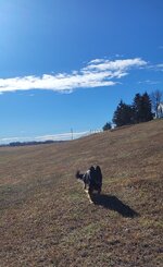 IMG_7384.jpeg