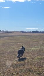 IMG_7383.jpeg