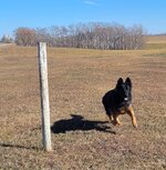 IMG_7382.jpeg