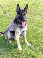 (4) Titan at the park.jpg