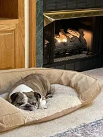 Pork Fire.webp