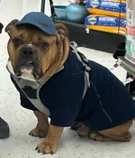 Gunny Posing 1.webp