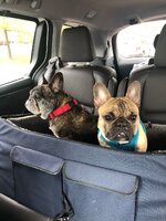 car seat buddies.jpg