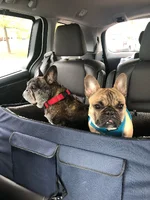 car seat buddies.webp car seat buddies.webp