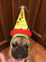 Cubby 1st birthday.jpg