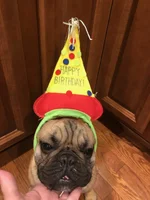 Cubby 1st birthday.webp Cubby 1st birthday.webp