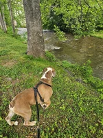 20240514_090108.webp