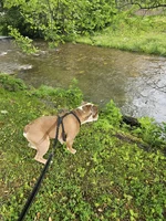 20240514_090110.webp