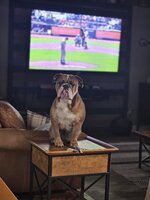 20240602_183742.jpg
