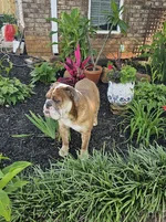 20240524_170535.webp
