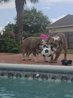 20240629_143005.webp