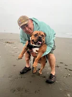 Ocean Shores.webp
