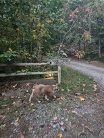 20241011_073443.webp