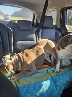 20241012_102039.webp