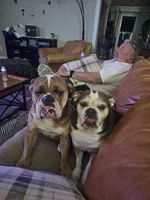 20241019_235415.webp