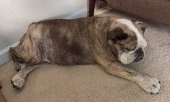 IMG_4047.jpeg