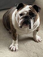 IMG_3464.jpeg