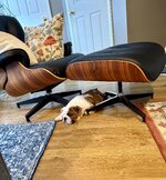 IMG_4276.jpeg