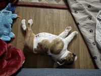 IMG_4282.jpeg
