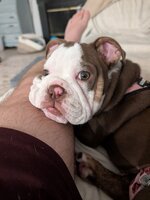 IMG_20250610_144300.jpg