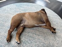 IMG_0025.jpeg