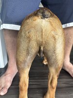 IMG_0039.jpeg