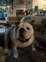 IMG_4804.jpeg