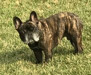 IMG_2859.jpeg