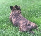 IMG_3175.jpeg