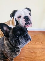 IMG_4072.jpeg