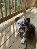 IMG_5298.jpeg