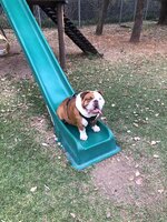 IMG_5213.jpeg
