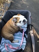 IMG_0519.jpeg