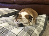 IMG_0496.jpeg